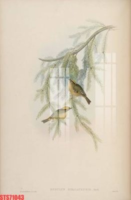 Tải file gốc Tranh sơn dầu phương tây tổng hợp STS71043 (in khổ lớn) không vỡ