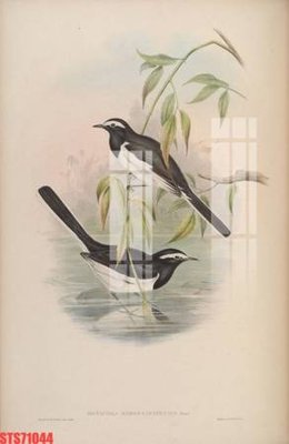 File tranh Tranh sơn dầu phương tây tổng hợp STS71044 (gốc) chủ đề trẻ em