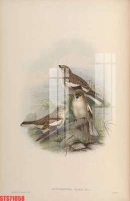 File in mica Tranh sơn dầu phương tây tổng hợp STS71058 (bản gốc) làm vách ngăn