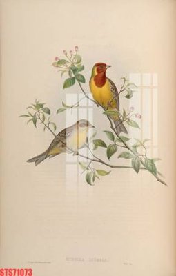 Tải file gốc Tranh sơn dầu phương tây tổng hợp STS71073 (in khổ lớn) không vỡ