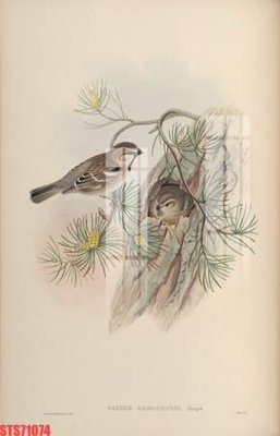 File tranh trang trí Tranh sơn dầu phương tây tổng hợp STS71074 (file gốc)