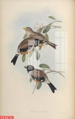 File gốc Tranh sơn dầu phương tây tổng hợp STS71078 (Filetranh.com) Tranh sơn dầu phương tây tổng hợp STS71078