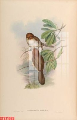 Tải file tranh gốc Tranh sơn dầu phương tây tổng hợp STS71083 chất lượng cao