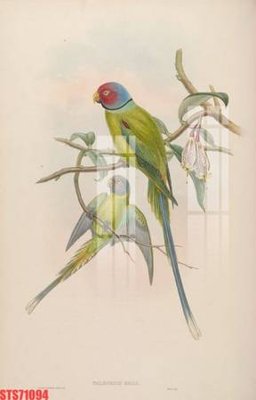 File tranh in trần 3D Tranh sơn dầu phương tây tổng hợp STS71094 (ảnh gốc)