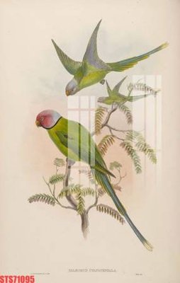 Tải file gốc Tranh sơn dầu phương tây tổng hợp STS71095 (in tráng gương) 5DFile gốc Tranh sơn dầu phương tây tổng hợp STS71095 (in ấn) phiên bản premium