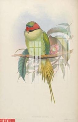 File in trần Tranh sơn dầu phương tây tổng hợp STS71096 (bản gốc) trời sao