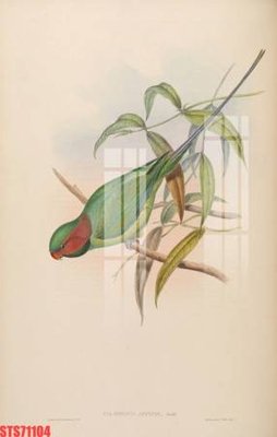 File gốc Tranh sơn dầu phương tây tổng hợp STS71104 (cho in ấn) từ kho Filetranh