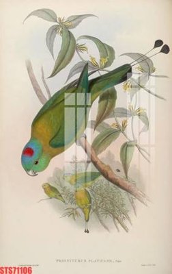 File gốc Tranh sơn dầu phương tây tổng hợp STS71106 (in tráng gương) hiện đại