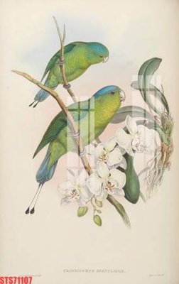 Hình ảnh file gốc in trần nhà Tranh sơn dầu phương tây tổng hợp STS71107