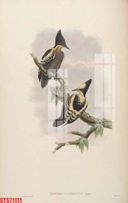 Tải file gốc Tranh sơn dầu phương tây tổng hợp STS71111 dùng cho in ấn