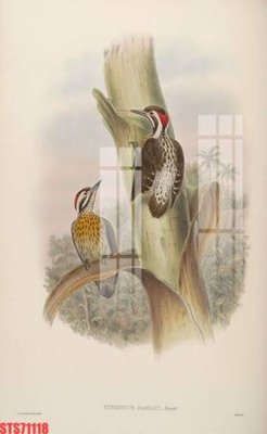 File gốc Tranh sơn dầu phương tây tổng hợp STS71118 (in lụa) họa tiết 3D