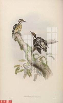 Tải file Tranh sơn dầu phương tây tổng hợp STS71125 (PSD) cho in tranh kính