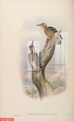 Download file Tranh sơn dầu phương tây tổng hợp STS71126 (gốc) cho xưởng in