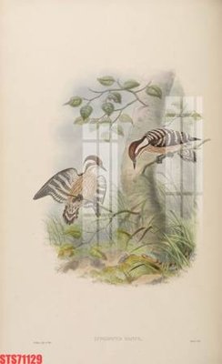 File gốc Tranh sơn dầu phương tây tổng hợp STS71129 (chủ đề hiện đại) trang trí