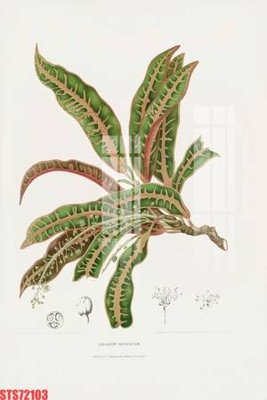 File ảnh gốc Tranh sơn dầu phương tây tổng hợp STS72103 (chuyên in mica)