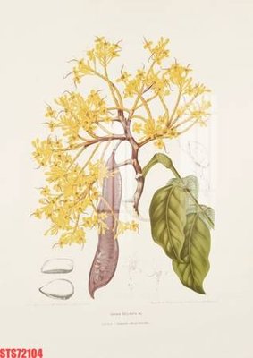 File ảnh Tranh sơn dầu phương tây tổng hợp STS72104 (gốc) in backdrop sự kiện