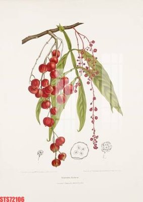 Tải file Tranh sơn dầu phương tây tổng hợp STS72106 (gốc) làm file in ấn