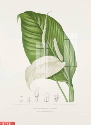 File tranh ảnh gốc Tranh sơn dầu phương tây tổng hợp STS72108 dùng cho in khổ lớn