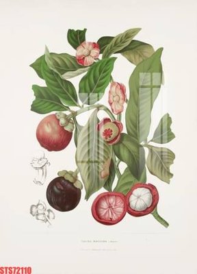 File tranh Tranh sơn dầu phương tây tổng hợp STS72110 (bản gốc) in lụa 3D