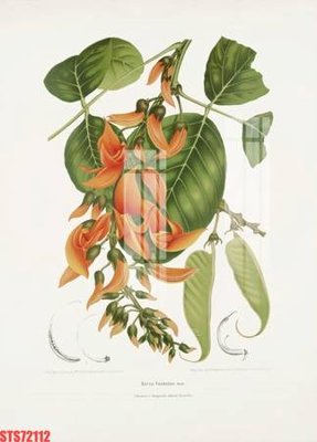 File gốc Tranh sơn dầu phương tây tổng hợp STS72112 (vector) cho in ấn