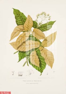 Tải file PSD Tranh sơn dầu phương tây tổng hợp STS72116 (nguyên layer) để in