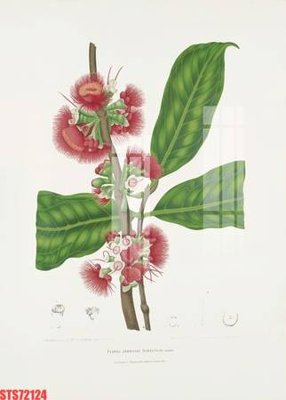 File in trần Tranh sơn dầu phương tây tổng hợp STS72124 (bản gốc) đại dương