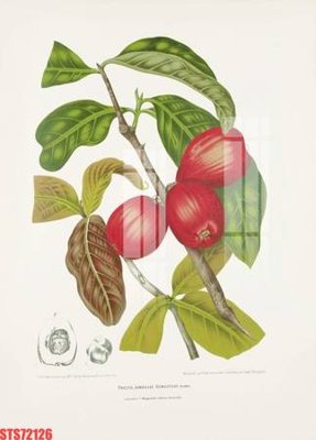 File in ấn Tranh sơn dầu phương tây tổng hợp STS72126 chuyên nghiệp