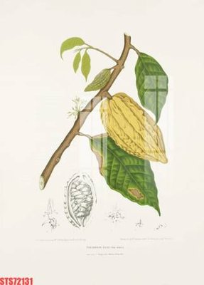 File gốc Tranh sơn dầu phương tây tổng hợp STS72131 (in mica) cắt laser