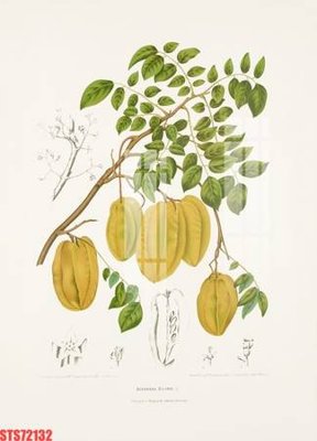 Download file tranh Tranh sơn dầu phương tây tổng hợp STS72132 (file gốc PSD)