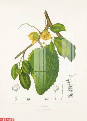 File in ấn chuyên nghiệp Tranh sơn dầu phương tây tổng hợp STS72135 (file gốc)