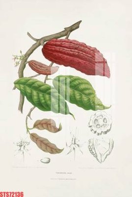 File gốc Tranh sơn dầu phương tây tổng hợp STS72136 (cho in ấn) độc quyền