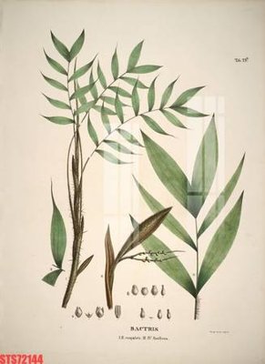 File PSD Tranh sơn dầu phương tây tổng hợp STS72144 (bản gốc) dễ dàng edit