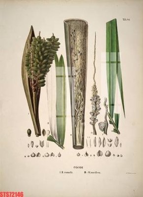 File tranh PSD Tranh sơn dầu phương tây tổng hợp STS72146 chất lượng cao