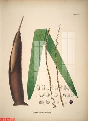 File in mica Tranh sơn dầu phương tây tổng hợp STS72150 (ảnh gốc) đẹp