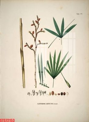 File tranh trang trí Tranh sơn dầu phương tây tổng hợp STS72153 (tải file gốc)