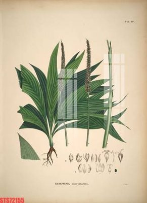 Download file gốc Tranh sơn dầu phương tây tổng hợp STS72155 (in mica) 3D