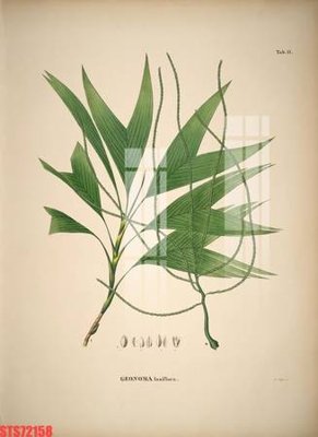 Tải file gốc Tranh sơn dầu phương tây tổng hợp STS72158 (bản PSD) đầy đủ layer