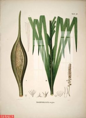 File gốc Tranh sơn dầu phương tây tổng hợp STS72163 (cho in ấn) từ kho Filetranh