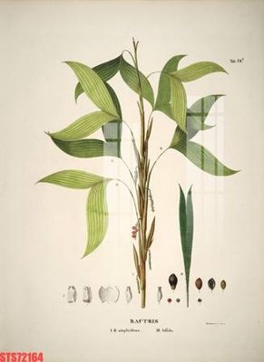 Tải file gốc Tranh sơn dầu phương tây tổng hợp STS72164 (in khổ lớn) quảng cáo