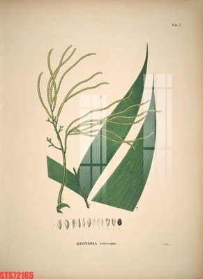 Tải file gốc Tranh sơn dầu phương tây tổng hợp STS72165 (in tráng gương) siêu đẹpFile tranh gốc Tranh sơn dầu phương tây tổng hợp STS72165 chất lượng cao