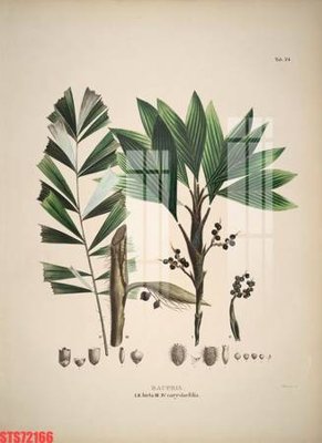 File gốc Tranh sơn dầu phương tây tổng hợp STS72166 (vector) cho in ấn