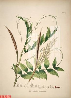 Download file gốc Tranh sơn dầu phương tây tổng hợp STS72177 (in lụa) cao cấp