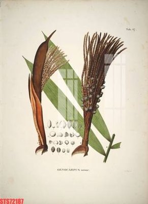 File tranh in trần Tranh sơn dầu phương tây tổng hợp STS72187 (ảnh gốc siêu nét)