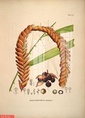 Tải file gốc Tranh sơn dầu phương tây tổng hợp STS72190 (in tráng gương) cao cấpFile gốc Tranh sơn dầu phương tây tổng hợp STS72190 (in ấn) phiên bản độc quyền