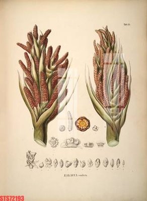 File PSD Tranh sơn dầu phương tây tổng hợp STS72193 (bản gốc) chất lượng nhất