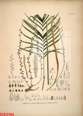 File tranh Tranh sơn dầu phương tây tổng hợp STS72194 (gốc) chủ đề thành phố