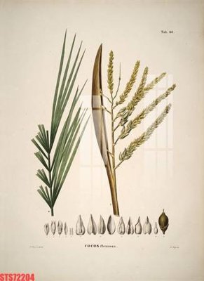 File tranh Tranh sơn dầu phương tây tổng hợp STS72204 (bản gốc) in canvas