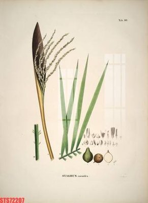 Tải file Tranh sơn dầu phương tây tổng hợp STS72207 (ảnh gốc) độ phân giải 300dpi