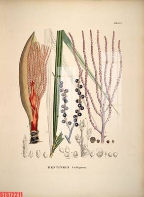 File gốc Tranh sơn dầu phương tây tổng hợp STS72211 (trang trí) cho phòng khách