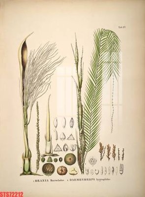 File gốc in tráng gương Tranh sơn dầu phương tây tổng hợp STS72212 chi tiết